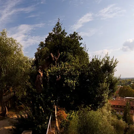 Hotel Bagni Di Pisa Palace & Thermal - The Leading Of The World San Giuliano Terme